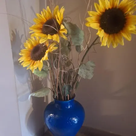 Apartman Anfra
